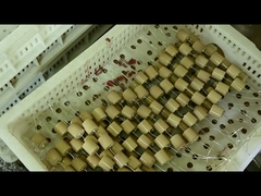 Condensador de cerámica de alto voltaje de 40.5kVAC-100pF 4000V para el aislador capacitivo